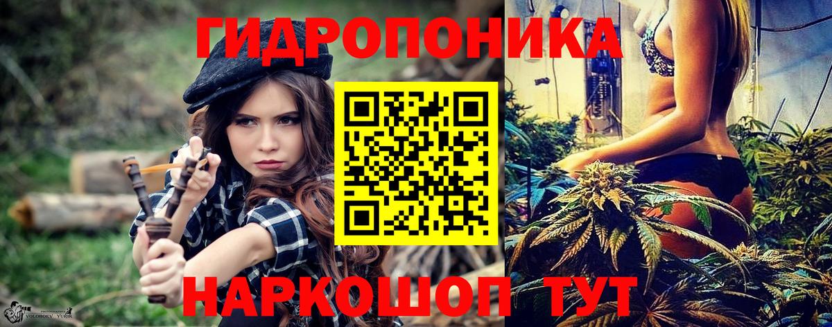 Конопля планчик Борзя
